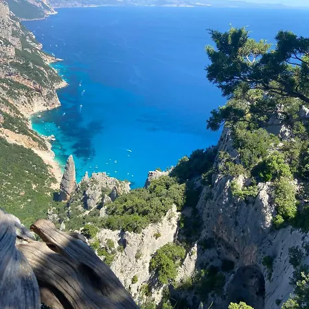 Casa Il Cortile Fiorito Apartment *