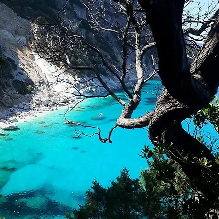 Casa Il Cortile Fiorito * Tortoli